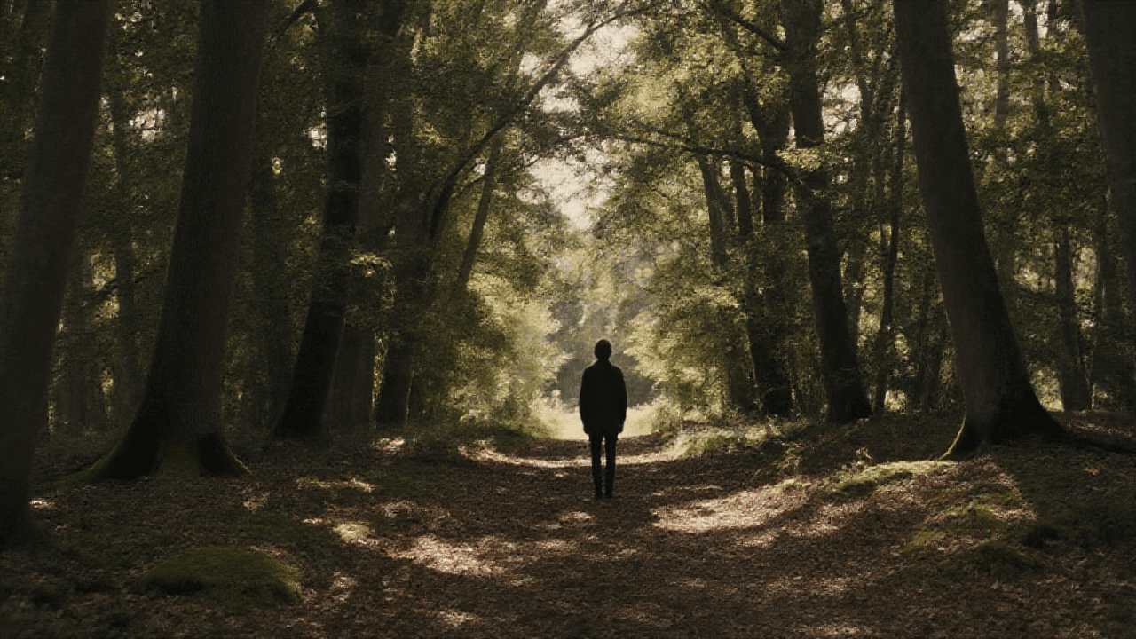 Nature's Focus Fix: The Science Behind Attention Restoration
